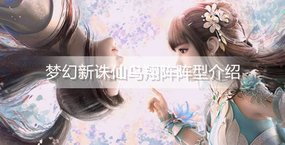 梦幻新诛仙鸟翔阵阵型怎么样