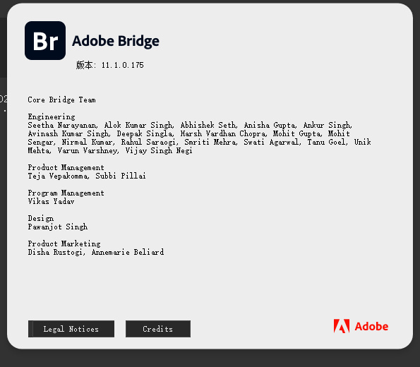 Adobe Bridge 20210
