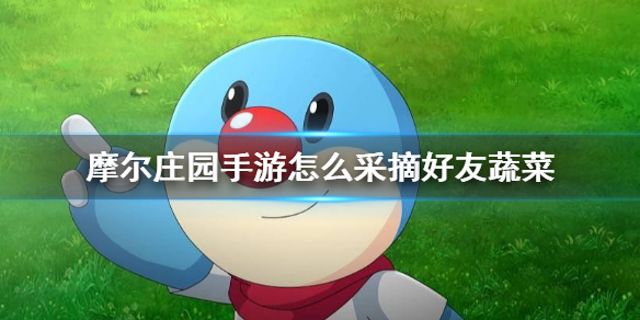 摩尔庄园手游怎么采摘好友蔬菜