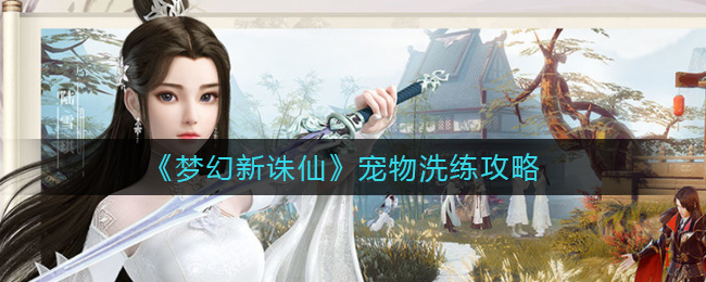 梦幻新诛仙宠物洗练怎么玩