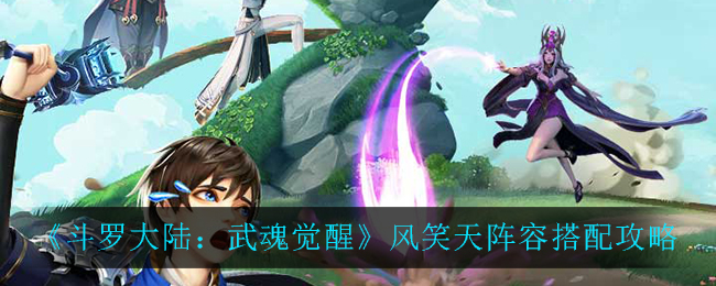 斗罗大陆武魂觉醒风笑天阵容怎么搭配