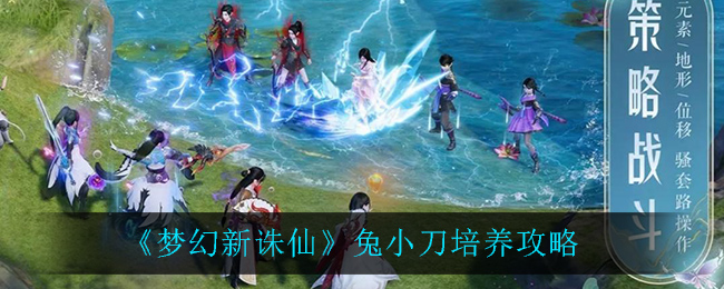 梦幻新诛仙兔小刀怎么培养