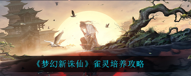 梦幻新诛仙雀灵怎么培养