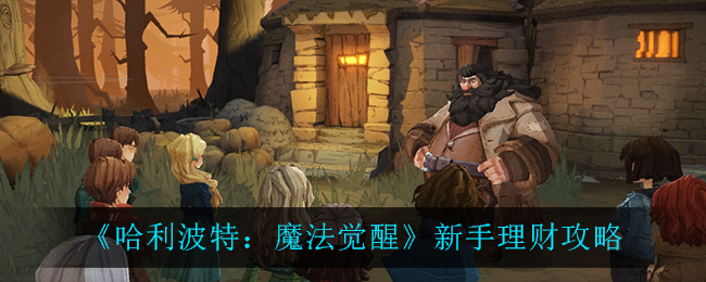 哈利波特魔法觉醒新手怎么理财