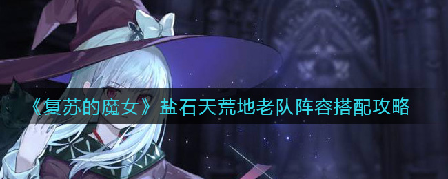 复苏的魔女盐石天荒地老队阵容怎么搭配