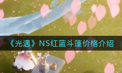 光遇NS红蓝斗篷价格是多少