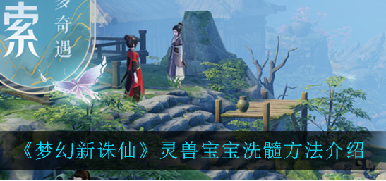 梦幻新诛仙灵兽宝宝怎么洗髓