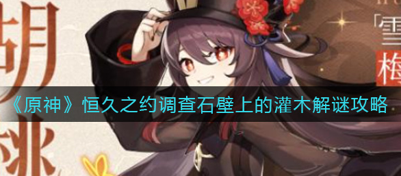 原神恒久之约调查石壁上的灌木怎么解谜