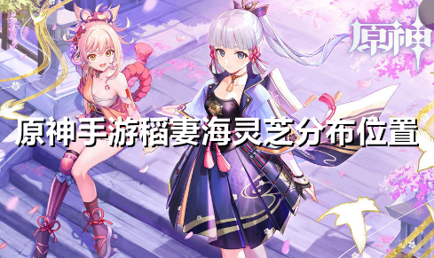 原神手游稻妻海灵芝分布在哪