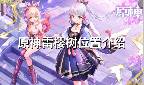 原神雷樱树在哪