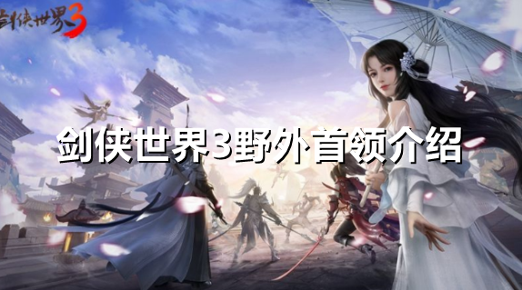 剑侠世界3野外首领是什么