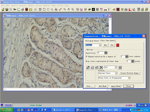 IPP6.0图像分析软件(Image Pro Plus) 汉化2