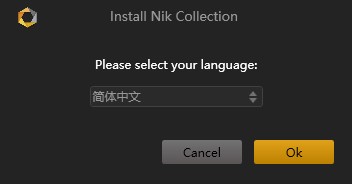 Nik Collection2021文件