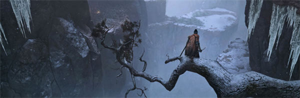 只狼修改器风灵月影版 最好用的只狼steam修改器4