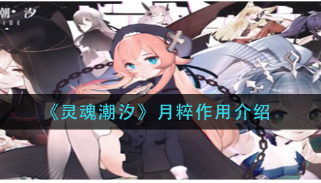 灵魂潮汐月粹有什么作用