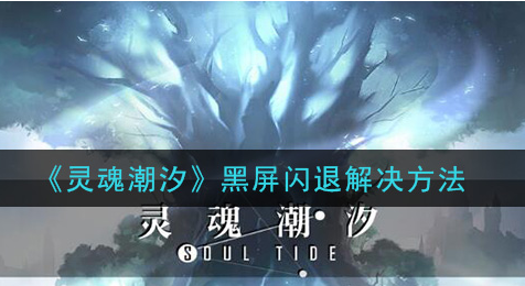灵魂潮汐黑屏闪退怎么解决