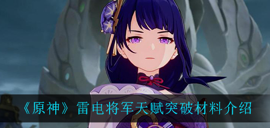 原神雷电将军天赋突破材料有哪些