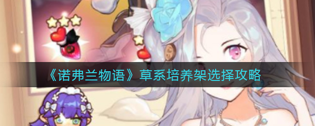 诺弗兰物语草系培养架怎么选择