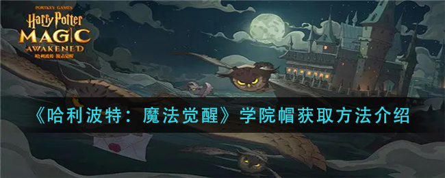 哈利波特魔法觉醒学院帽怎么获取