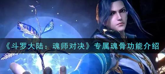 斗罗大陆魂师对决专属魂骨功能是什么
