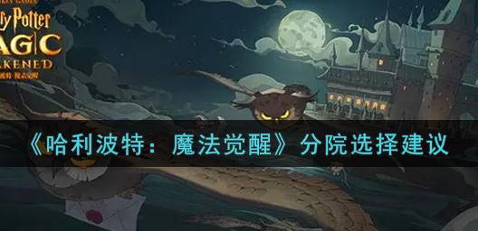 哈利波特魔法觉醒分院怎么选择