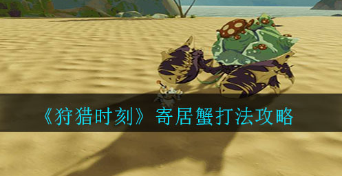 狩猎时刻寄居蟹怎么打