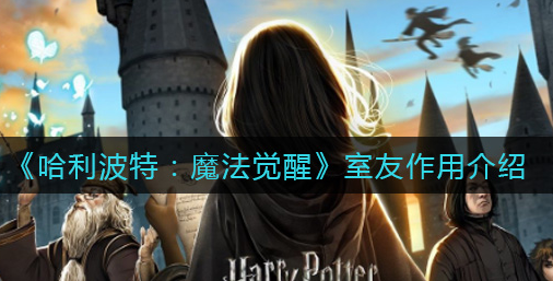 哈利波特魔法觉醒室友有什么作用