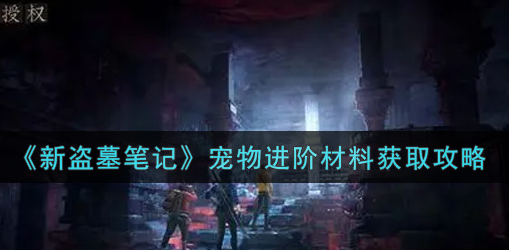 新盗墓笔记宠物进阶材料怎么获取