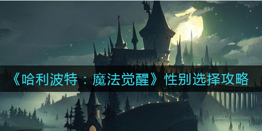 哈利波特魔法觉醒性别怎么选择