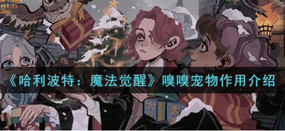 哈利波特魔法觉醒嗅嗅宠物有什么作用