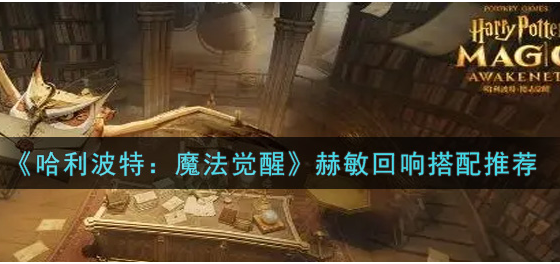 哈利波特魔法觉醒赫敏的回响怎么搭配