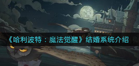 哈利波特魔法觉醒结婚系统怎么玩