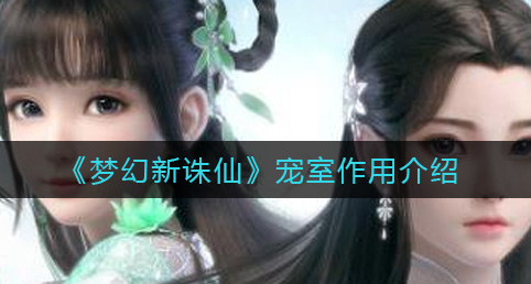 梦幻新诛仙宠室有什么作用