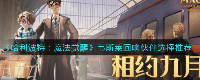 哈利波特魔法觉醒韦斯莱回响伙伴怎么选择