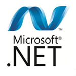 .net framework v4.0.30319 windows xp