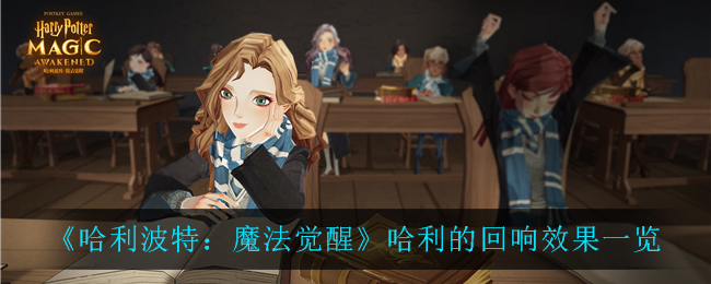 哈利波特魔法觉醒哈利的回响效果怎么样