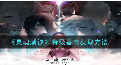灵魂潮汐特级兽肉怎么获取