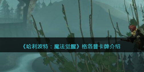 哈利波特魔法觉醒格洛普卡牌怎么样