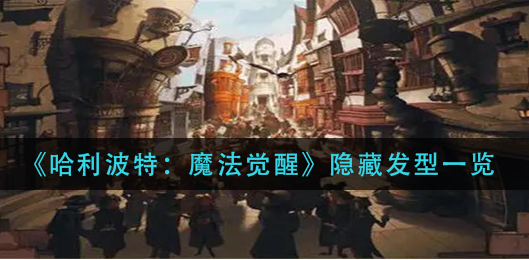 哈利波特魔法觉醒隐藏发型有哪些
