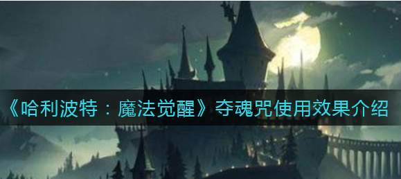 哈利波特魔法觉醒夺魂咒使用效果怎么样