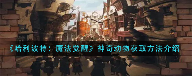 哈利波特魔法觉醒神奇动物怎么获取