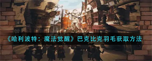 哈利波特魔法觉醒巴克比克羽毛怎么获取