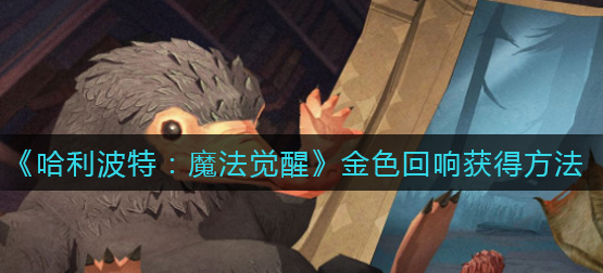 哈利波特魔法觉醒金色回响怎么获得