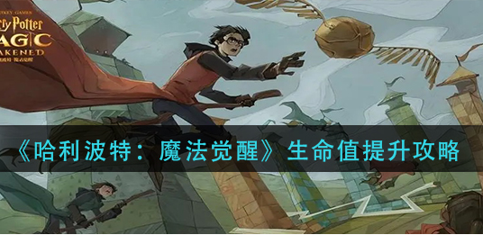 哈利波特魔法觉醒生命值怎么提升