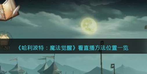 哈利波特魔法觉醒怎么看直播