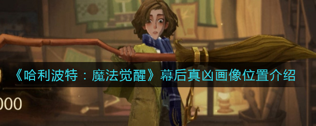 哈利波特魔法觉醒幕后真凶画像位置在哪