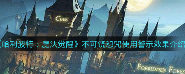 哈利波特魔法觉醒不可饶恕咒使用警示效果是什么