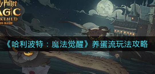 哈利波特魔法觉醒养蛋流怎么玩