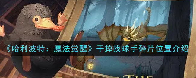 哈利波特魔法觉醒干掉找球手碎片位置在哪