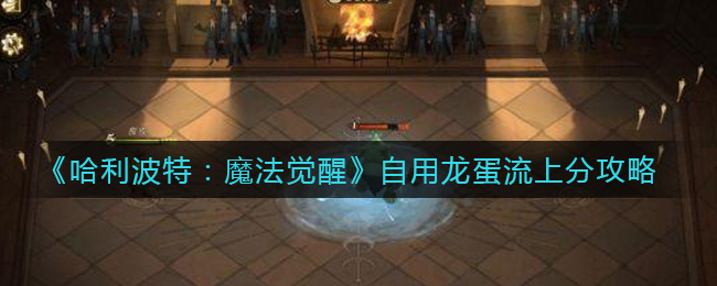 哈利波特魔法觉醒自用龙蛋流上分怎么玩